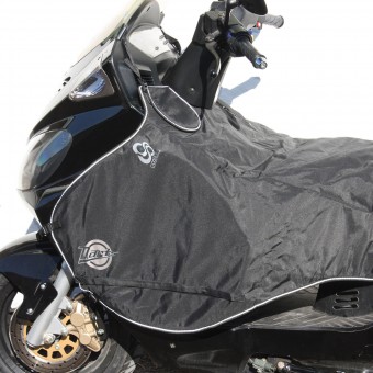 Regensch�rzen Darts Sch�rze Daelim 125 S2