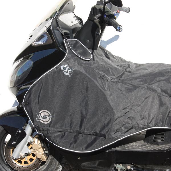 Regensch�rzen Darts Sch�rze Daelim 125 S2