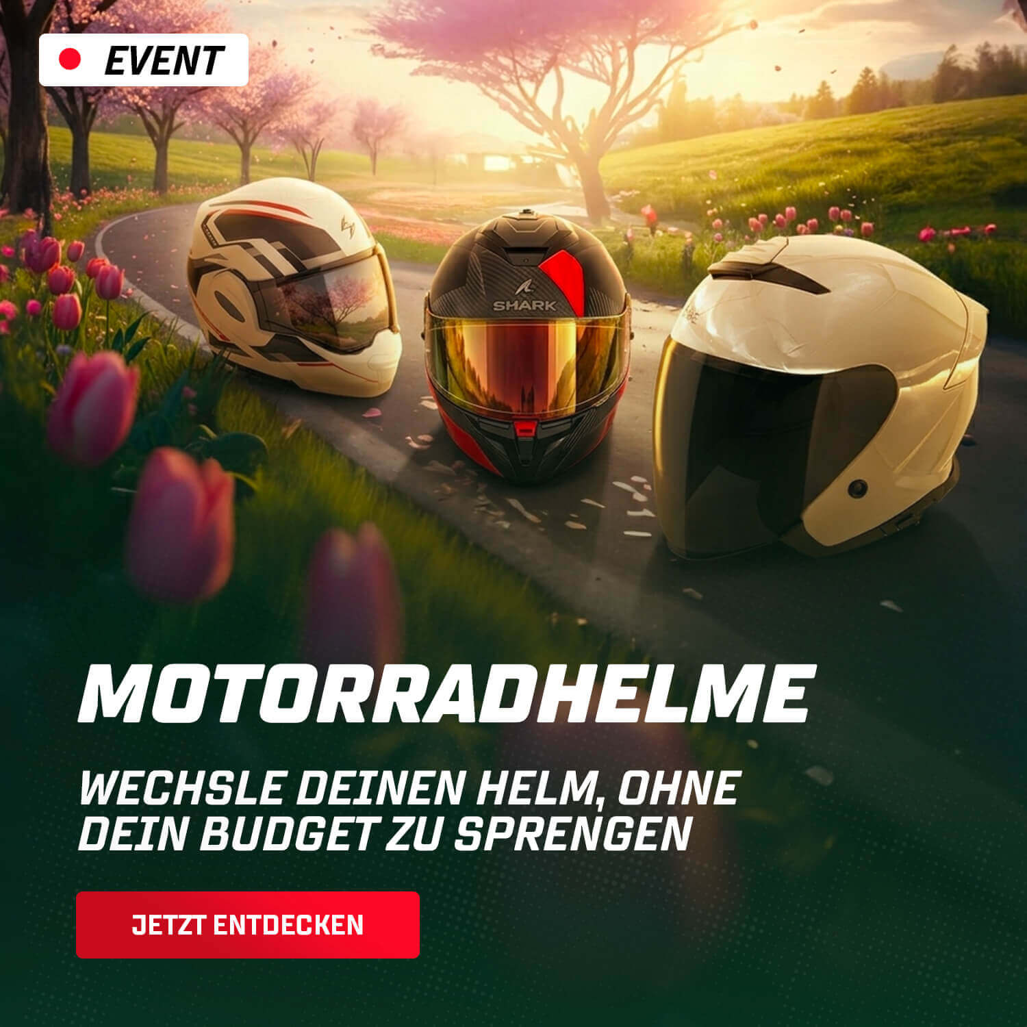 Motorradhelme