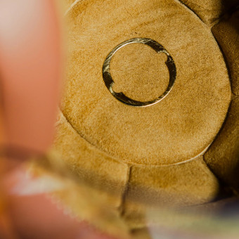 HEDON Hedonist Cream 2.0