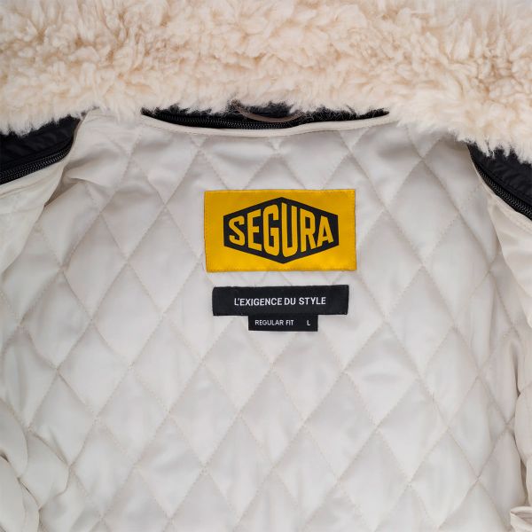 Segura Krugger Braun