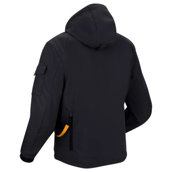 Segura Oswald Schwarz