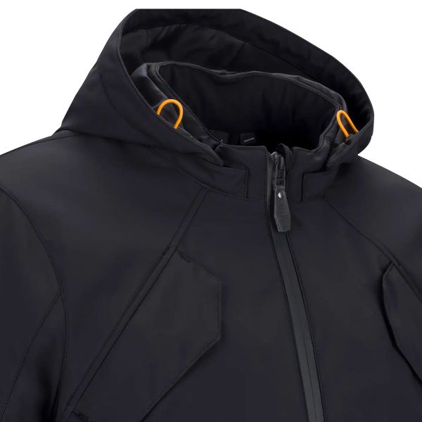 Segura Oswald Schwarz