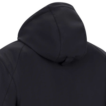 Segura Oswald Schwarz