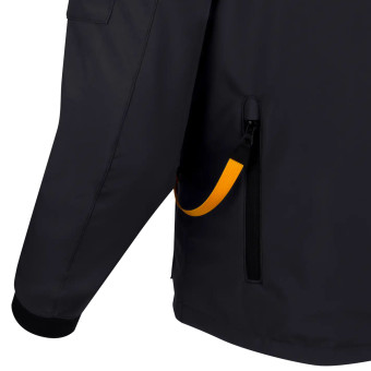 Segura Oswald Schwarz