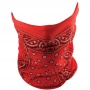 Motorrad-Halswrmer Zanheadgear Red Paisley