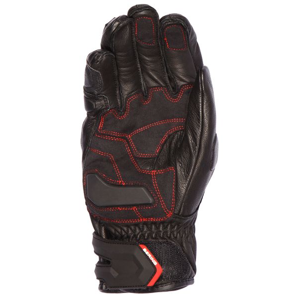 Bering Syrio Schwarz